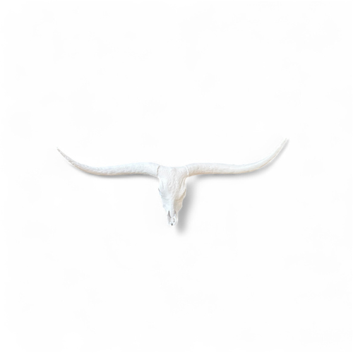 Paint-Your-Own-Mount