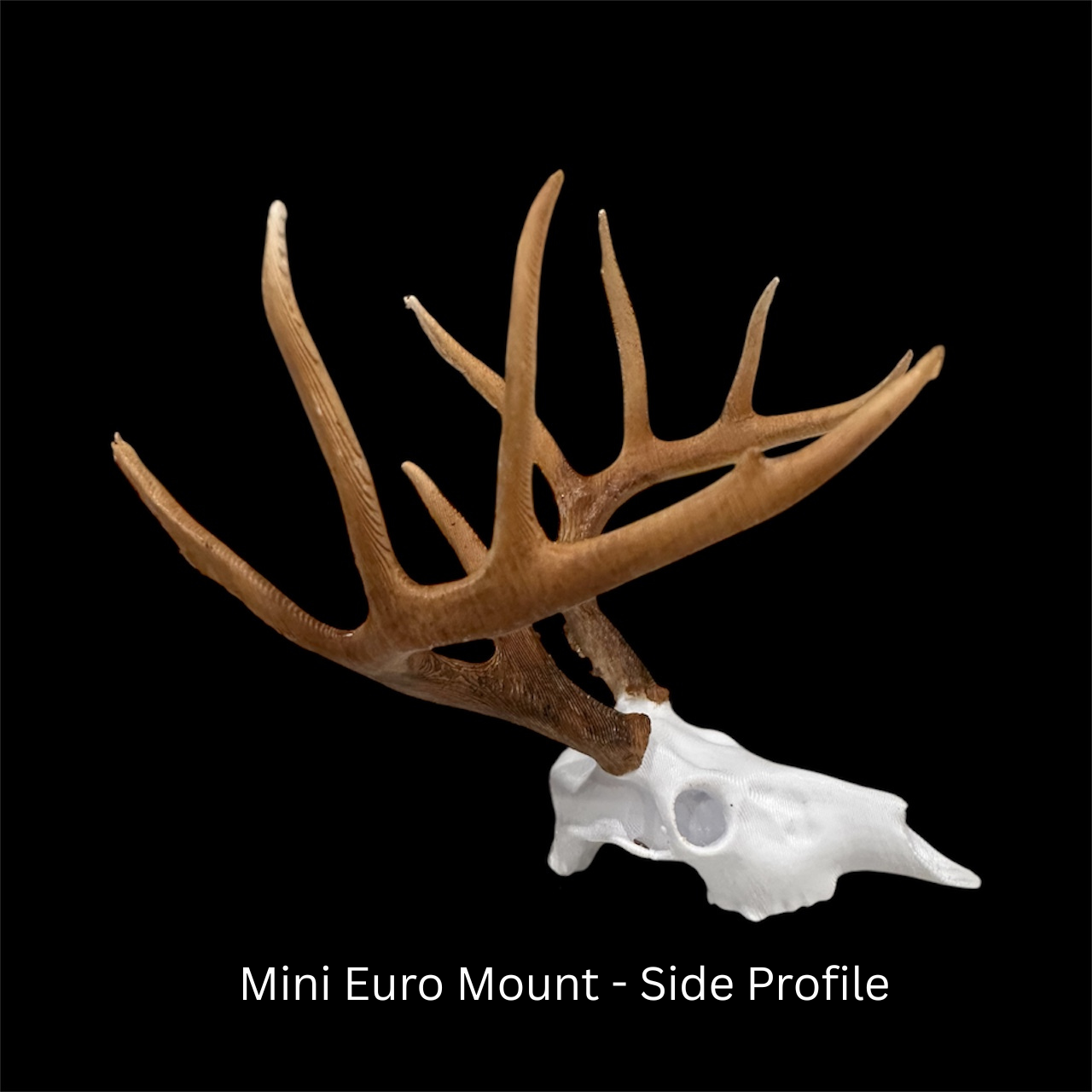 Mini Euro Mount