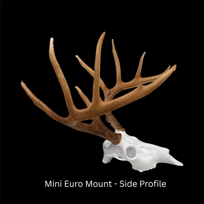 Mini Euro Mount