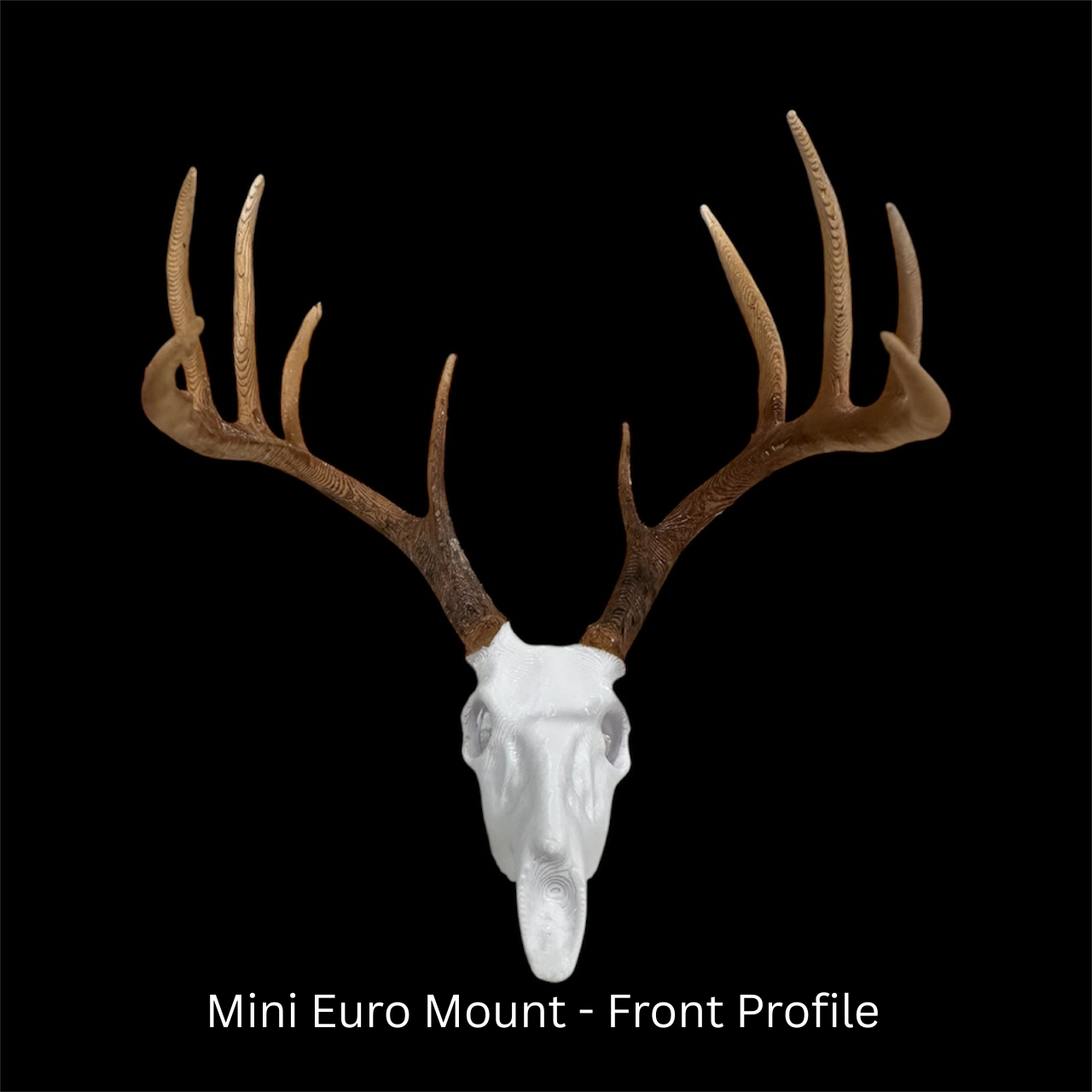 Mini Euro Mount