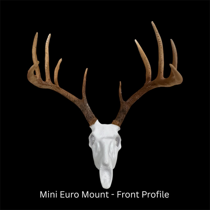 Mini Euro Mount