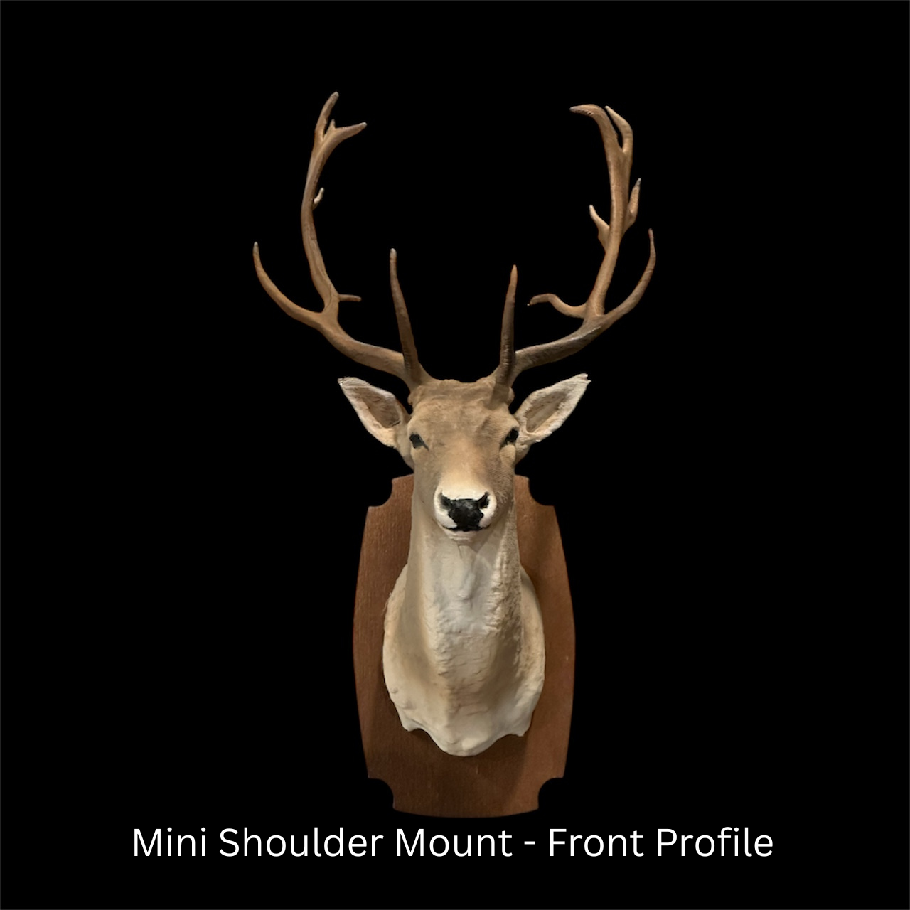 Mini Shoulder Mount