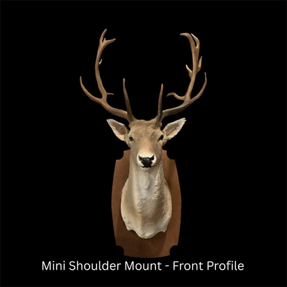 Mini Shoulder Mount