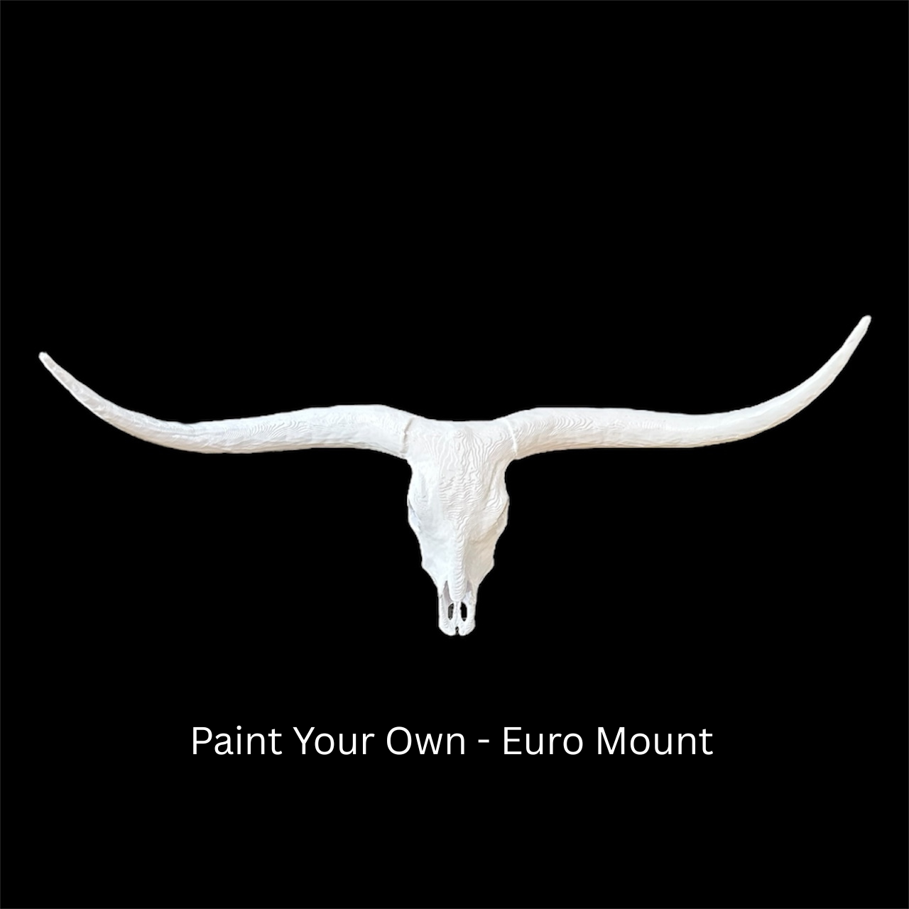 Paint-Your-Own-Mount