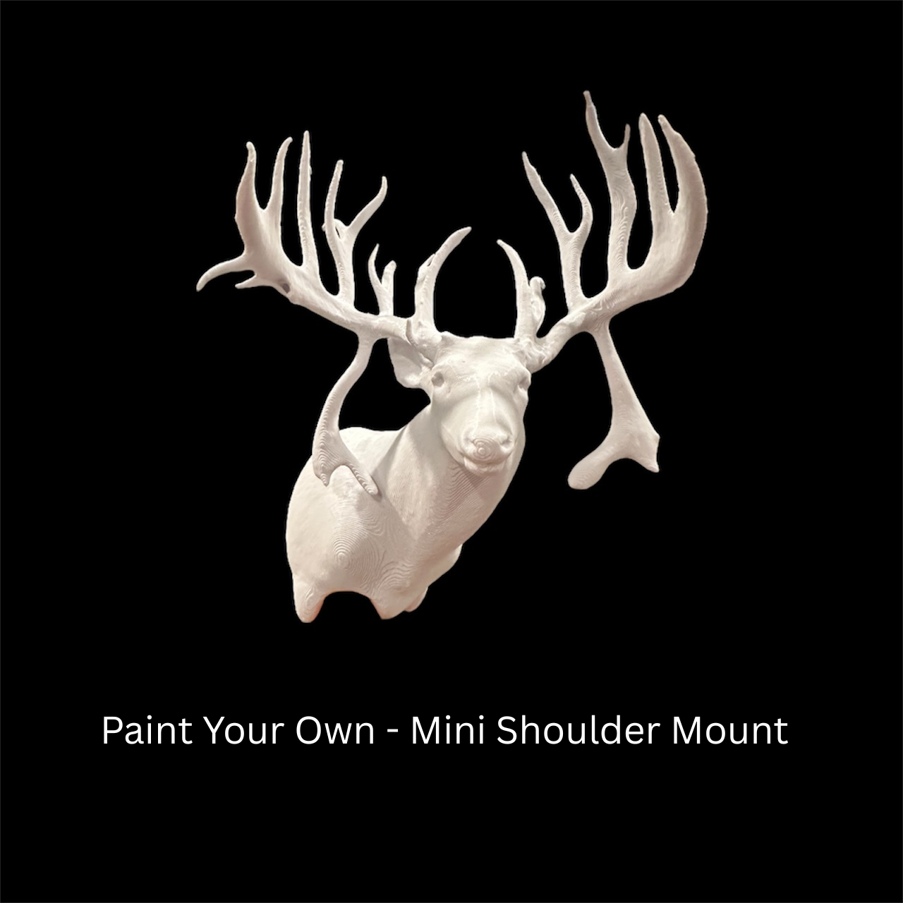 Paint-Your-Own-Mount