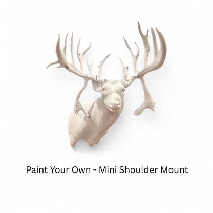 Paint-Your-Own-Mount